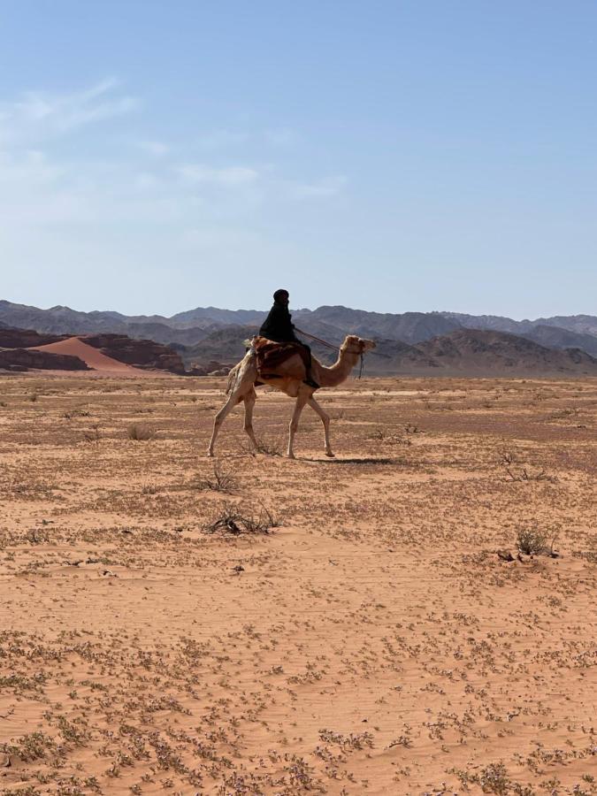 Wadi Rum Desert Camp ภายนอก รูปภาพ