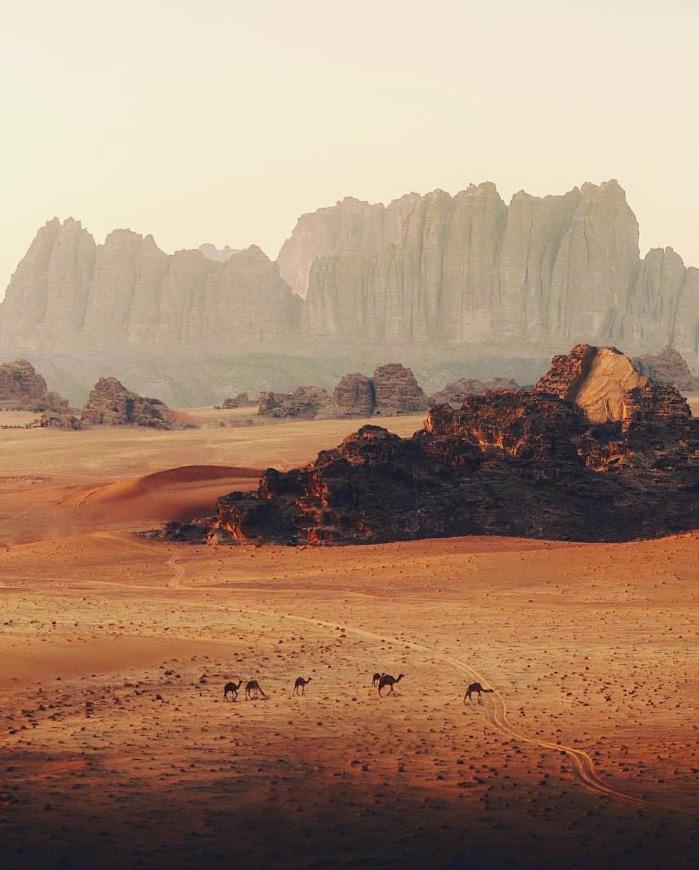 Wadi Rum Desert Camp ภายนอก รูปภาพ